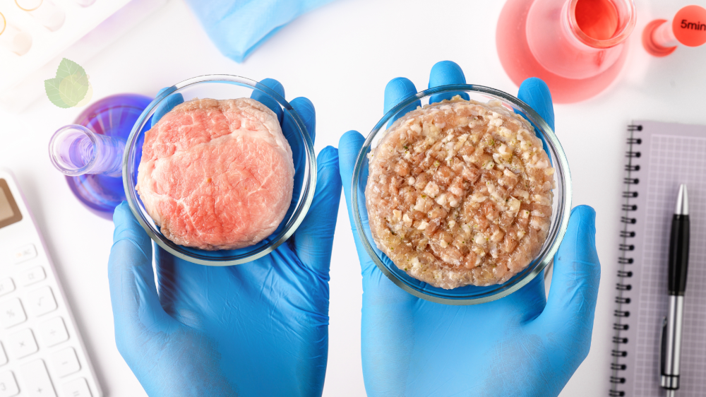 Carne cultivada ganha impulso com investimentos de us$ 2 bilhões mundialmente