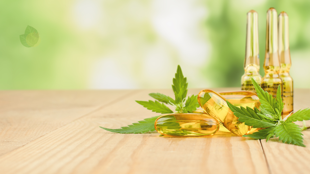Unicamp propõe 30 mudanças para expandir acesso à cannabis medicinal no Brasil