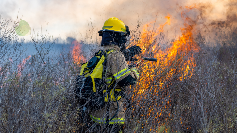 MS pode adotar métodos americanos para combater incêndios florestais